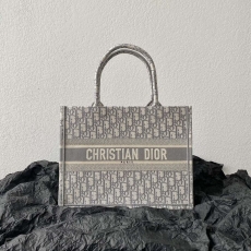 Christian Dior Shopping Bags